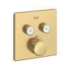 Dual Function Thermostatic Valve Trim, 29141GN0