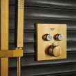 Dual Function Thermostatic Valve Trim, 29141GN0