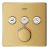 Triple Function Thermostatic Valve Trim, 29142GN0
