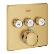 Triple Function Thermostatic Valve Trim, 29142GN0