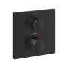 Allure Single Function 2-Handle Thermostatic Valve Trim, 291772431