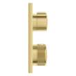 Allure Single Function 2-Handle Thermostatic Valve Trim, 29177GN1