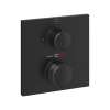 Allure Dual Function 2-Handle Thermostatic Valve Trim, 291782431