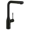 Essence Single-Handle Pull-Out Kitchen Faucet Dual Spray 1.75 GPM (6.6 L/min), 302712430