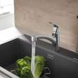 Eurosmart Single-Handle Dual Spray Pull-Out Kitchen Faucet 1.75 gpm (6.6 L/min), 30306DC1