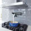 GROHE Zedra 2-Handle Wall Mount Pot Filler, 310752432