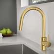 Concetto Single-Handle Pull-Down Kitchen Faucet Dual Spray 1.75 GPM (6.6 L/min), 32665GN3