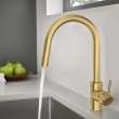 Concetto Single-Handle Pull-Down Kitchen Faucet Dual Spray 1.75 GPM (6.6 L/min), 32665GN3