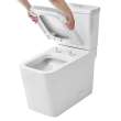 Eurocube Right Height Elongated Toilet Bowl with Seat Less Tank, 39664000