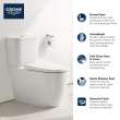 Two-piece Dual Flush Right Height Elongated Toilet with seat, 39674000