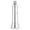 Pull-Out Spray, 46731000
