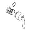 Thermostatic Temperature Lever, 47712EN0