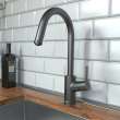 Hansgrohe Talis S² Higharc Kitchen Faucet, 1-Spray Pull-Down, 1.75 Gpm In Brushed Black Chrome, 14872341