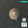 Hansgrohe Ecostat S Pressure Balance Trim In Brushed Bronze, 15739141