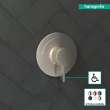 Hansgrohe Ecostat S Pressure Balance Trim In Brushed Nickel, 15739821