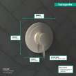 Hansgrohe Ecostat S Pressure Balance Trim In Brushed Nickel, 15739821