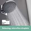 Hansgrohe Pulsify S Showerhead 260 1-Jet, 2.5 Gpm In Brushed Nickel, 24141821