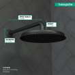 Hansgrohe  Showerarm Raindance 15