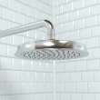 Hansgrohe Raindance Classic Showerhead 180 1-Jet