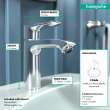 Hansgrohe Metris Single-Hole Faucet 110 With Pop-Up Drain