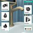Hansgrohe Metropol Classic Single-Hole Faucet 160 With Pop-Up Drain, 1.2 Gpm In Brushed Bronze, 31302141