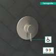 Hansgrohe Ecostat Pressure Balance Trim S In Brushed Nickel, 4233820