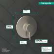 Hansgrohe Ecostat Pressure Balance Trim S In Brushed Nickel, 4233820