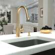 Hansgrohe Talis S² Higharc Kitchen Faucet, 2-Spray Pull-Down, 1.5 Gpm In Brushed Gold Optic, 4310251