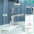 Hansgrohe Focus Single-Hole Faucet 100 With Pop-Up Drain, 1.2 Gpm In Chrome, 4371000