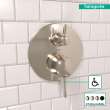 Hansgrohe Ecostat Classic Pressure Balance Trim With Diverter, Round In Polished Nickel, 4449830