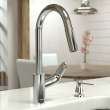 Hansgrohe Focus Higharc Kitchen Faucet, 2-Spray Pull-Down, 1.75 Gpm In Chrome, 4505000