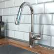 Hansgrohe Focus Prep Kitchen Faucet