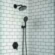 Hansgrohe Locarno Handshower Holder With Outlet In Matte Black, 4831670