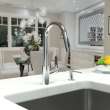 Hansgrohe Focus Higharc Kitchen Faucet