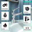 Hansgrohe Focus N Single-Hole Faucet 100 With Pop-Up Drain