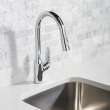 Hansgrohe Focus N Higharc Kitchen Faucet, 2-Spray Pull-Down, 1.75 Gpm In Chrome, 71800001
