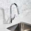 Hansgrohe Focus N Higharc Kitchen Faucet, 2-Spray Pull-Down, 1.75 Gpm In Chrome, 71800001