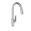 Hansgrohe Focus N Higharc Kitchen Faucet, 2-Spray Pull-Down, 1.75 Gpm In Chrome, 71800001