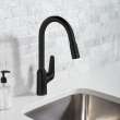 Hansgrohe Focus N Higharc Kitchen Faucet, 2-Spray Pull-Down, 1.75 Gpm In Matte Black, 71800671