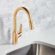 Hansgrohe Focus N Prep Kitchen Faucet, 2-Spray Pull-Down, 1.75 Gpm In Brushed Gold Optic, 71801251
