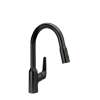 Hansgrohe Focus N Prep Kitchen Faucet, 2-Spray Pull-Down, 1.75 Gpm In Brushed Black Chrome, 71801341