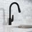 Hansgrohe Focus N Prep Kitchen Faucet, 2-Spray Pull-Down, 1.75 Gpm