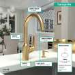 Hansgrohe Focus N Bar Faucet, 1.75 Gpm In Brushed Gold Optic, 71802251