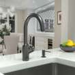 Hansgrohe Focus N Bar Faucet, 1.75 Gpm