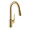 Hansgrohe Allegro N Higharc Kitchen Faucet, 2-Spray Pull-Down, 1.75 Gpm In Brushed Gold Optic, 71843251