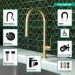 Hansgrohe Talis N Higharc Kitchen Faucet, O-Style, 2-Spray Pull-Down, 1.75 Gpm In Brushed Gold Optic, 72800251