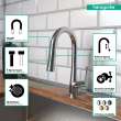 Hansgrohe Talis S Prep Kitchen Faucet