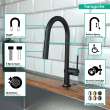Hansgrohe Talis N Higharc Kitchen Faucet, A-Style 2-Spray Pull-Down With Sbox, 1.75 Gpm In Matte Black, 72850671