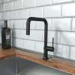 Hansgrohe Talis N Kitchen Faucet, U-Style 1-Spray, 1.5 Gpm In Matte Black, 72858671