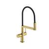 Hansgrohe Talis N Semi-Pro Powderspray Kitchen Faucet 1.75 Gpm In Brushed Gold Optic, 72861251